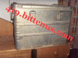 Metallic trunk box 1